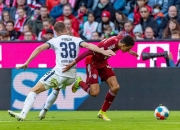 开云体育在线-霍芬海姆门将受伤下场，影响球队稳定性的简单介绍