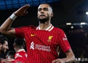 开云APP-利物浦球员争夺加盟沙尔克，引发关注