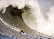 开云体育官方网站-北纬37度的对决，当塞维利亚热浪遇上安哥拉雄鹰，唯有巴尔韦德执棋破局