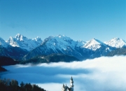 开云官网-包含意大利水球队精彩逆转战胜瑞士，跻身决赛的词条