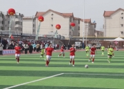 开云体育官网-队伍之间交锋激烈，足球比赛场上绽放精彩的简单介绍