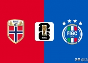 开云体育下载-意大利逆转挪威，小组积分继续领跑的简单介绍