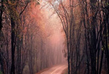 开云体育官网-摩洛哥瓦赫达迎战阿尔希拉尔，防守反击或成致胜关键