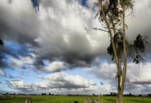 开云APP-蓝武士的逆袭：日本足球如何从亚洲新星蜕变成世界强队