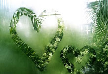 开云体育官方网站-摩洛哥瓦赫达主帅战术布置细致，力争半决赛全胜