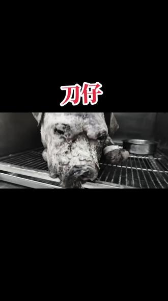 恐怖进攻犀利如鬼魅,对手难抵抗 恐怖进攻犀利如鬼魅,对手难抵抗