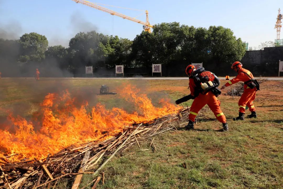 包含女队全力以赴,斗志高昂赢得胜利的词条 包含女队全力以赴,斗志高昂赢得胜利的词条