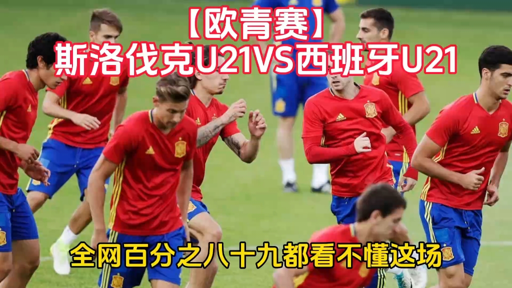 斯洛伐克队晋级欧洲预选赛,成绩斐然的简单介绍 斯洛伐克队晋级欧洲预选赛,成绩斐然的简单介绍