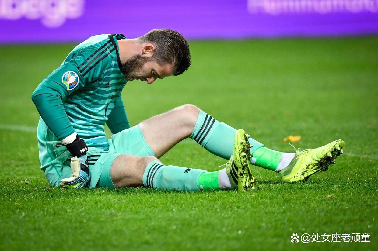 布冯助攻破荷兰球门,意大利队取得胜利 布冯助攻破荷兰球门,意大利队取得胜利