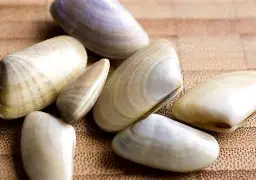 贝内文托客场血战,最终收获三分奖励 贝内文托客场血战,最终收获三分奖励