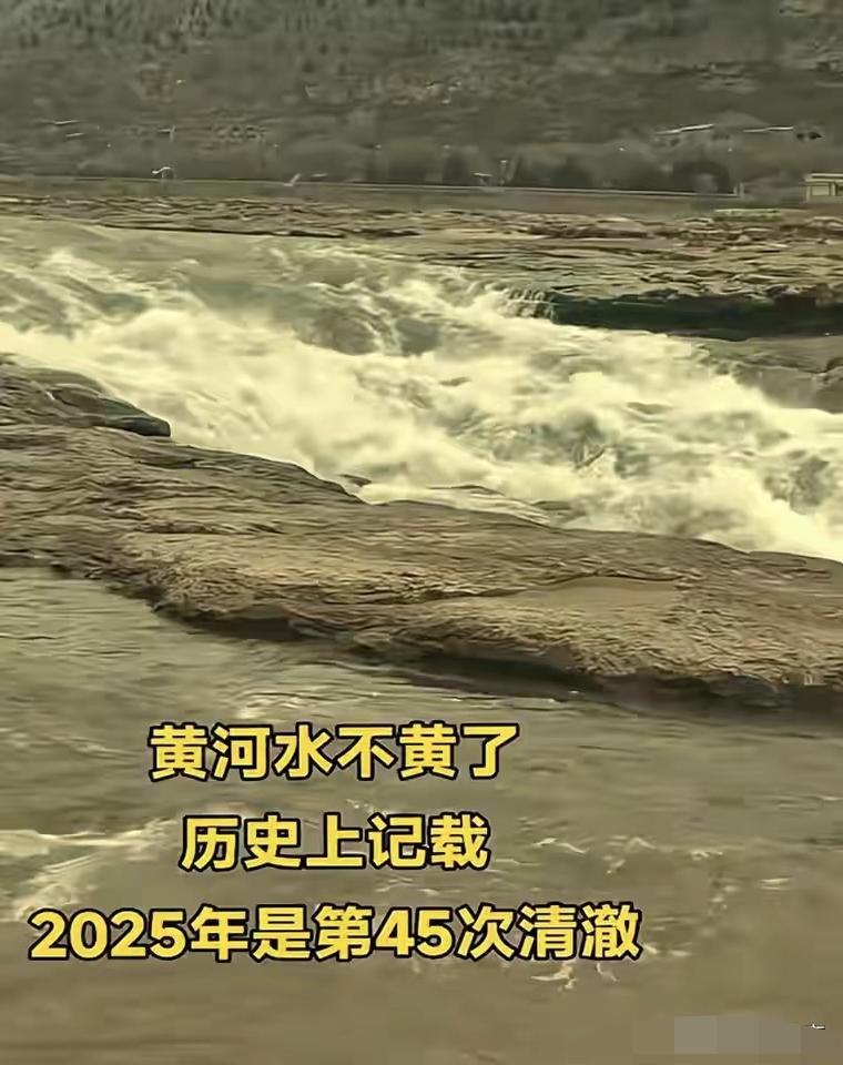 河南黄河遭遇失败,需重新调整 河南黄河遭遇失败,需重新调整