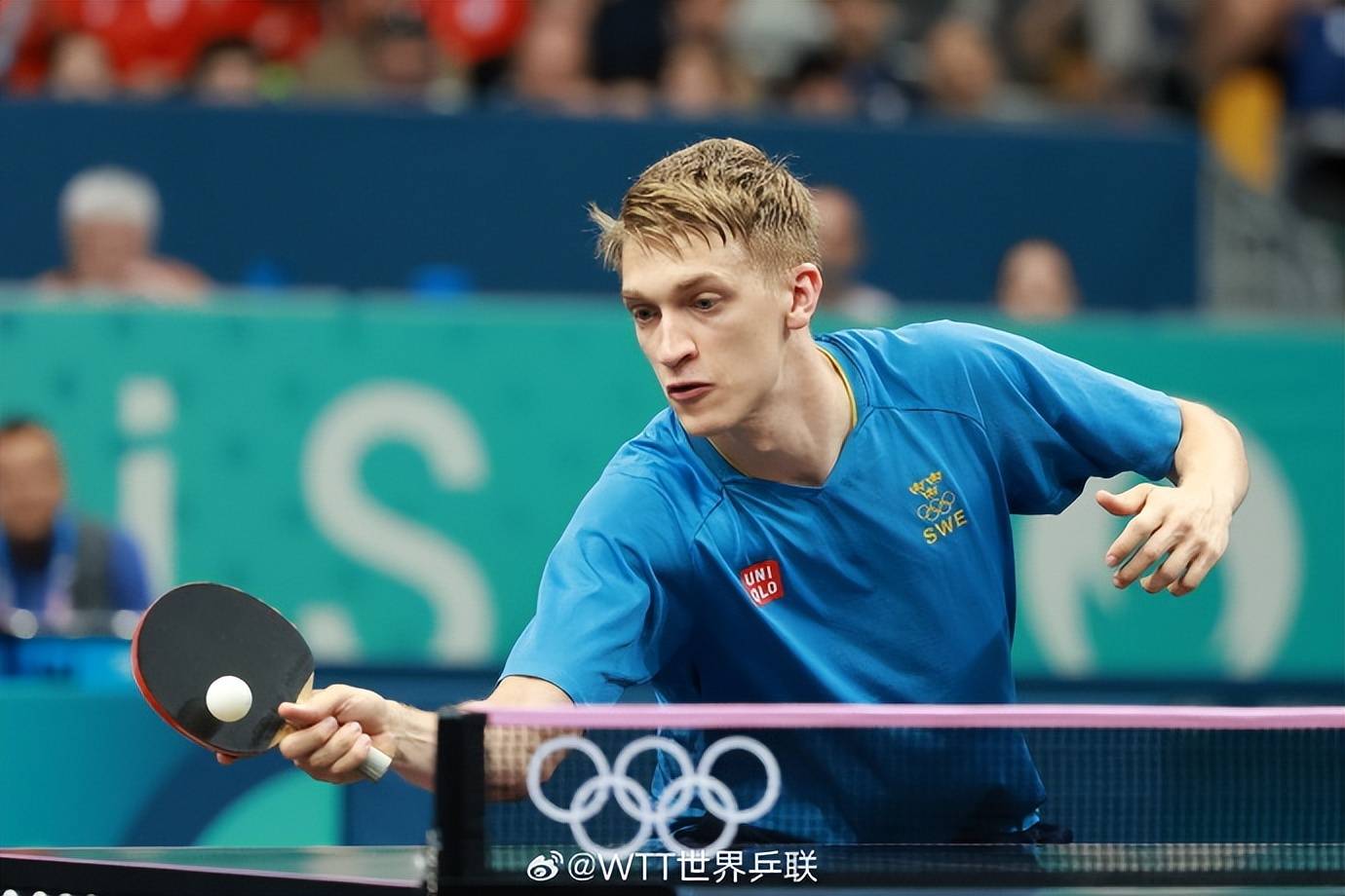 德国队完胜波兰队,波尔惊艳四座 德国队完胜波兰队,波尔惊艳四座