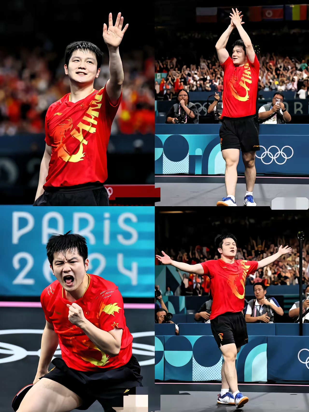 关于中国队力克葡萄牙队，樊振东状态火热的信息